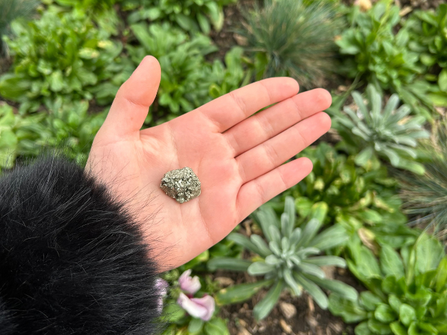 PYRITE BRUTE – Image 4