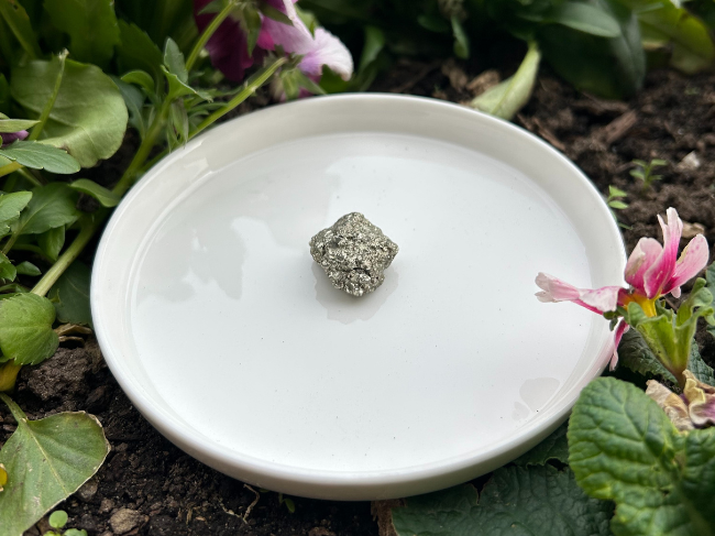 PYRITE BRUTE – Image 3