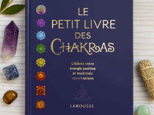 LE PETIT LIVRE DES CHAKRAS