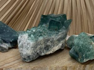 fluorine pièce unique petite