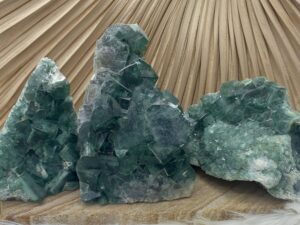 fluorine pièce unique moyen