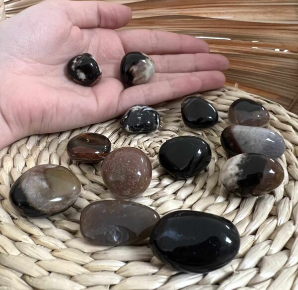 SARDONYX – Image 3