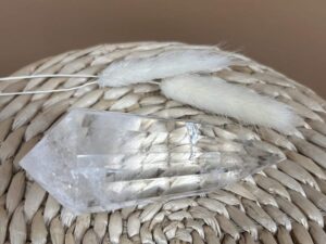 BAGUETTE DE VOGEL