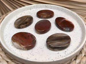 GALET BOIS FOSSILE