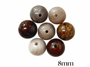 PERLES BOIS FOSSILE