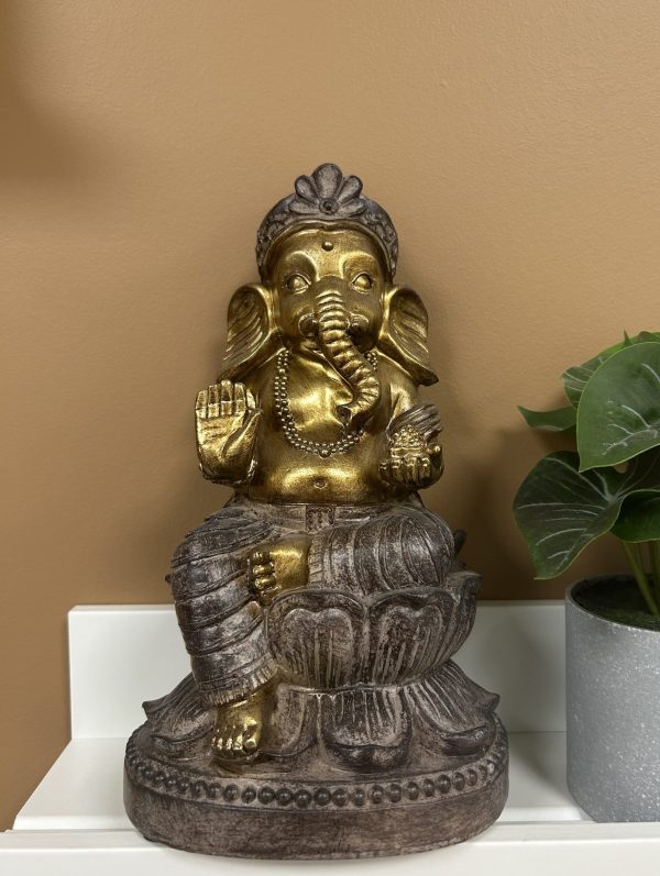 GANESH – Image 3