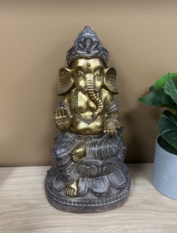 GANESH – Image 2