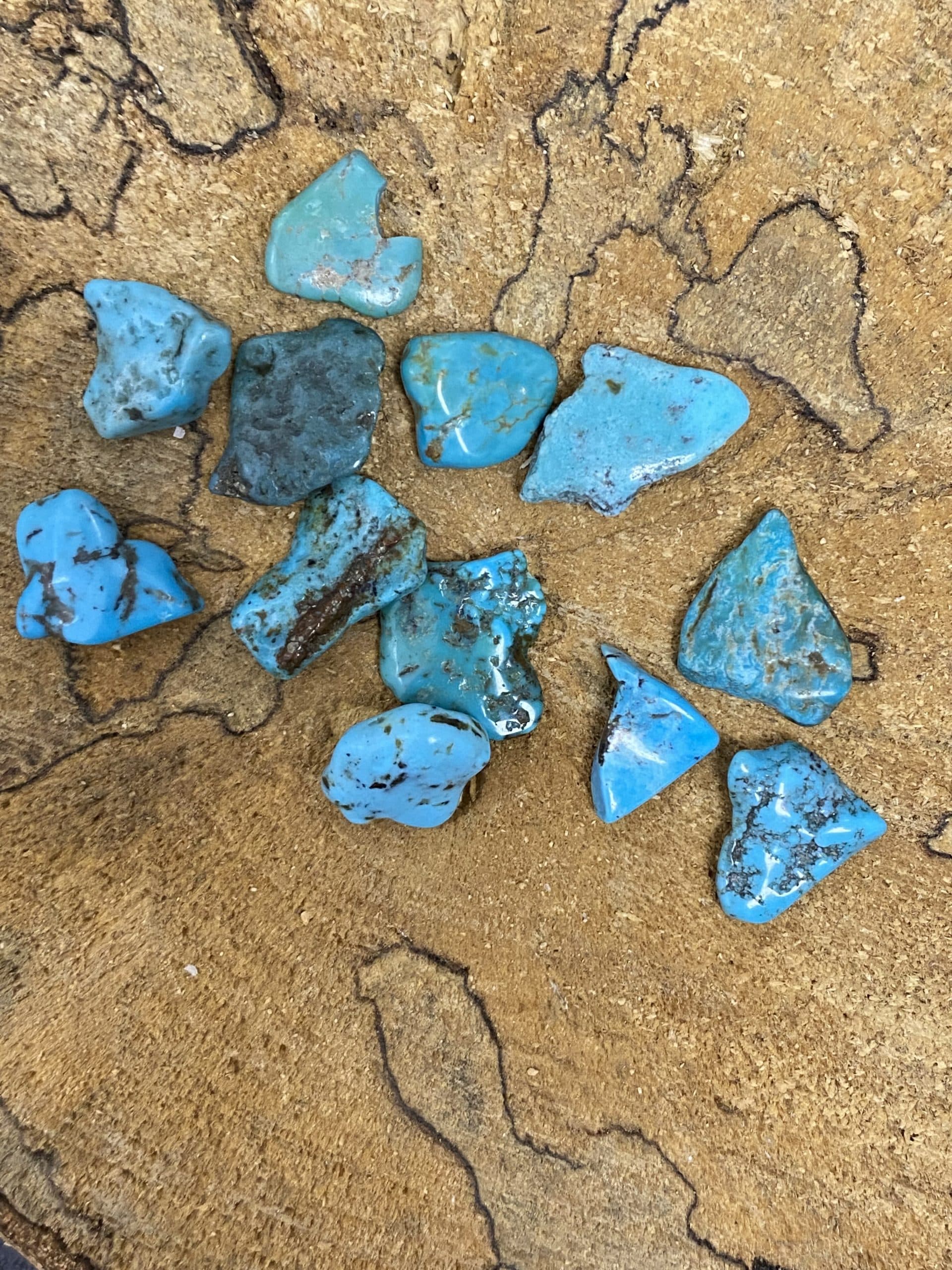 Turquoise brutes