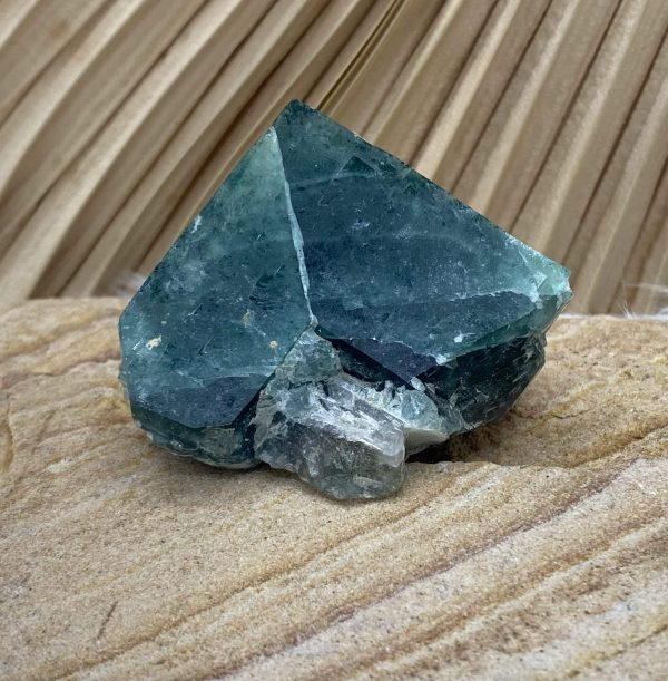fluorine pièce unique petite