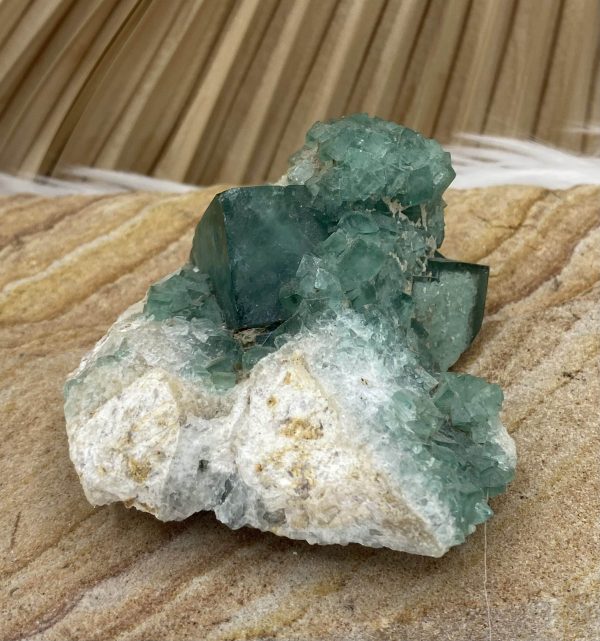 fluorine pièce unique petite