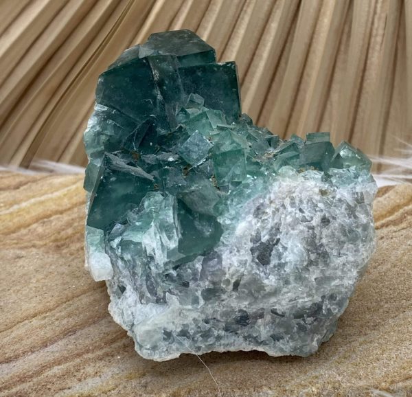 fluorine pièce unique petite
