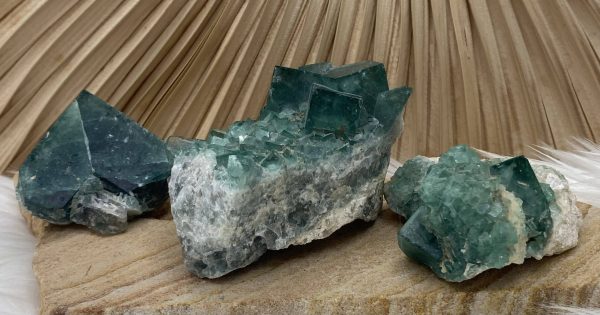 fluorine pièce unique petite