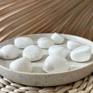SCOLECITE