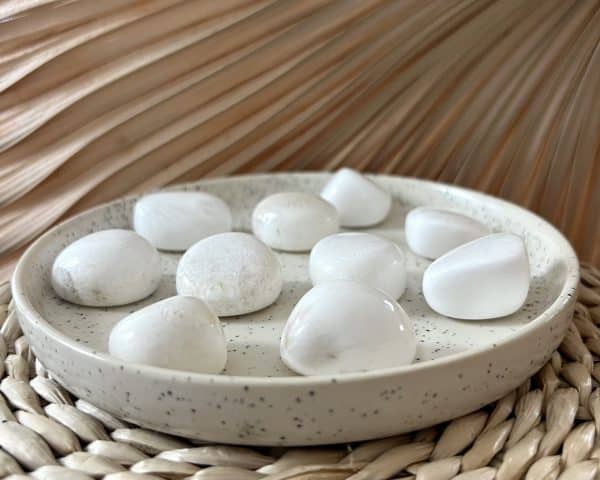 SCOLECITE