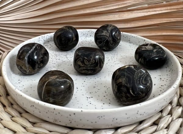 STROMATOLITE