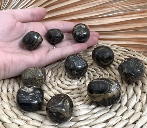 STROMATOLITE – Image 3