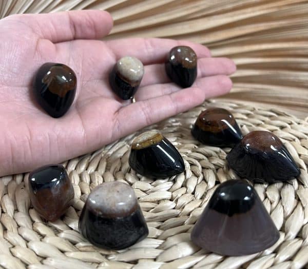 AGATE CYCLOPE – Image 3