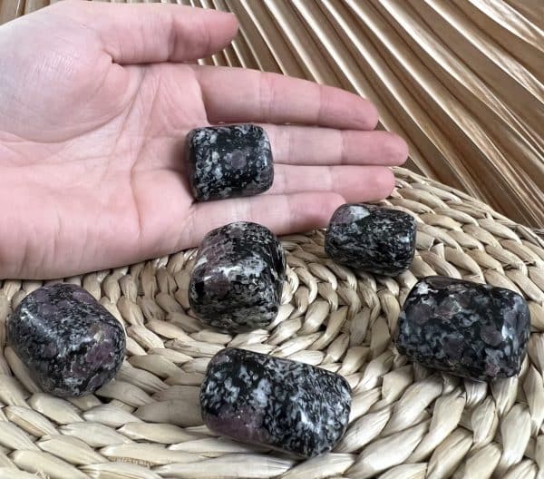 EUDYALITE – Image 2