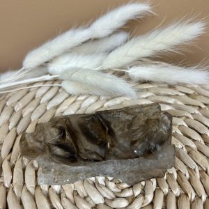 QUARTZ JACARÉ