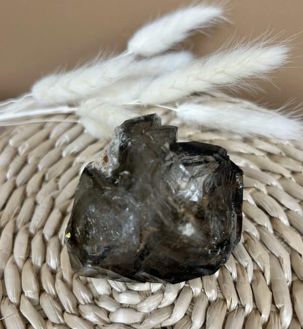 QUARTZ JACARÉ