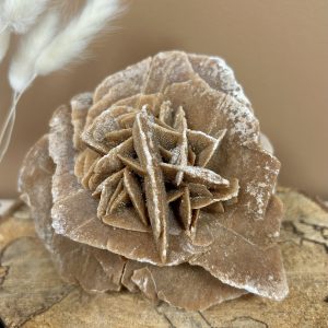ROSE DES SABLES