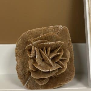 ROSE DES SABLES
