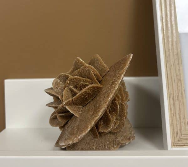 ROSE DES SABLES – Image 2