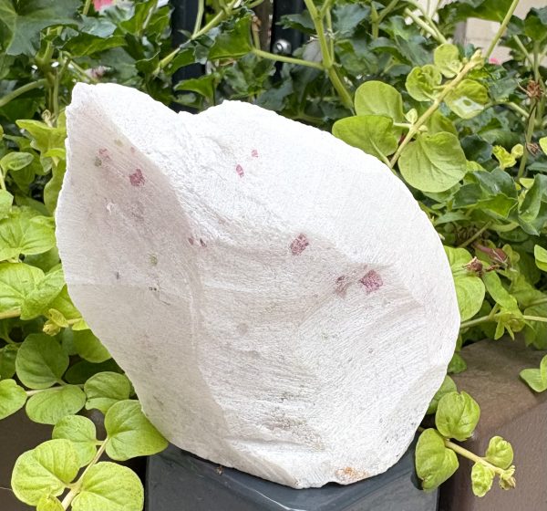 FORME SPINELLE ROUGE – Image 2