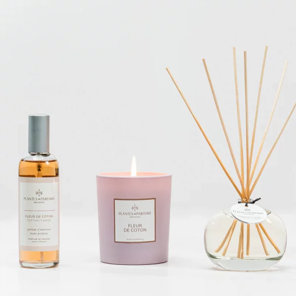 BOUQUET PARFUMÉ RÊVE DE LIN – Image 2