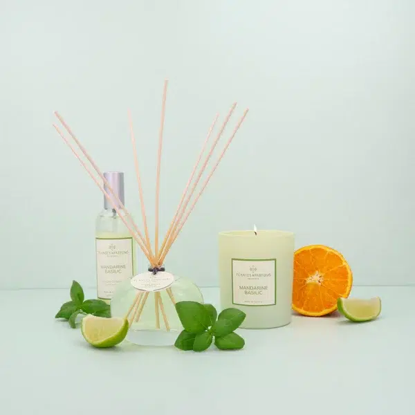 BOUGIE PARFUMÉE MANDARINE BASILIC – Image 3