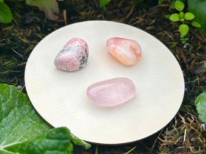 KIT AMOUR & RELATIONS