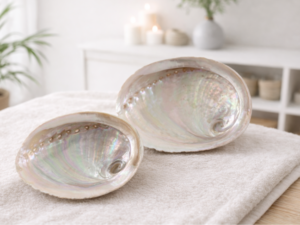 COQUILLE D'ORMEAU BLANCHE