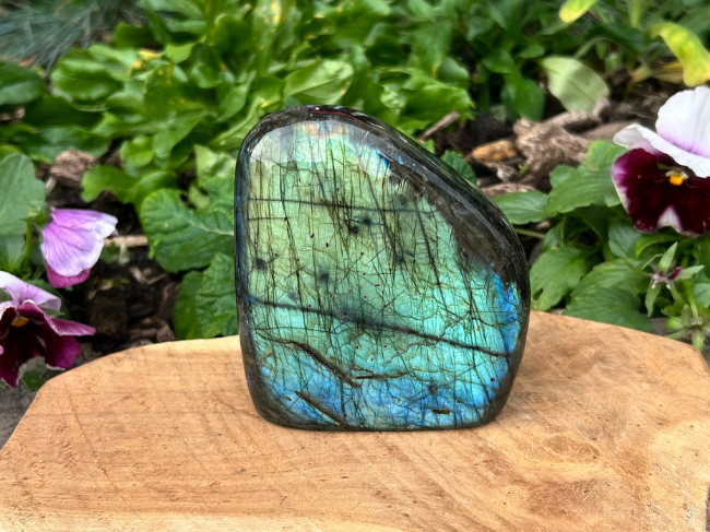 FORMES LABRADORITE – Image 2
