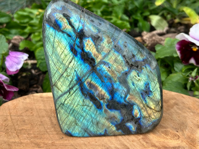 FORMES LABRADORITE – Image 5