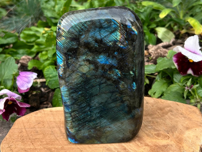 FORMES LABRADORITE – Image 6