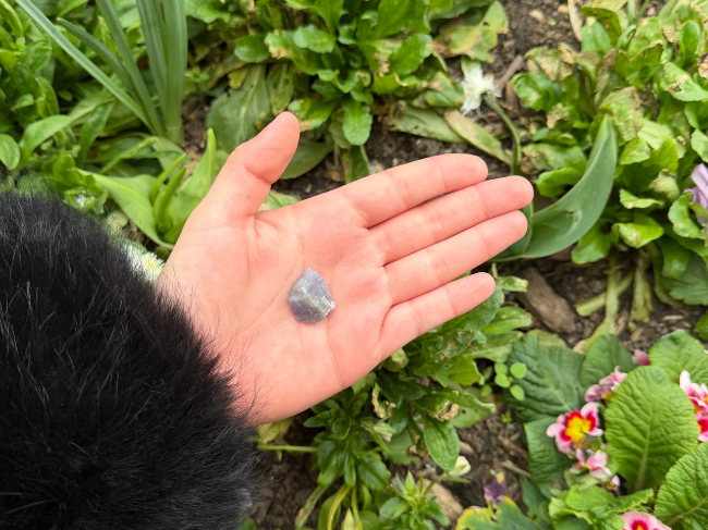 TANZANITE BRUTE – Image 3