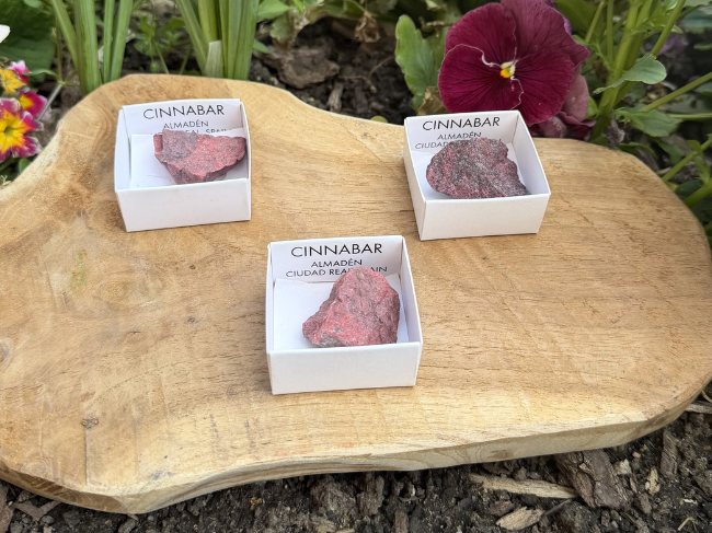 CINABRE BRUT – Image 2