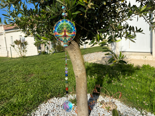ATTRAPE SOLEIL 7 CHAKRAS – Image 2