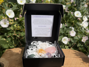 COFFRET LES ESSENTIELLES DE LA LITHOTHÉRAPIE