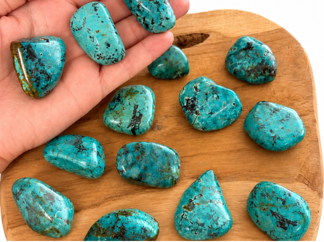 TURQUOISE AFRICAINE – Image 2