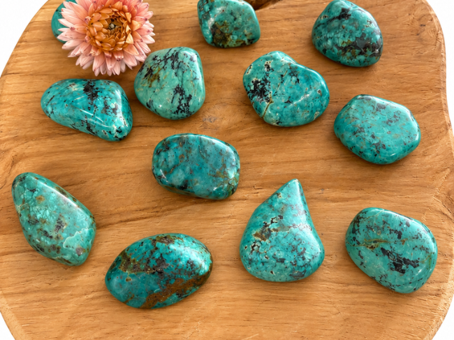 TURQUOISE AFRICAINE